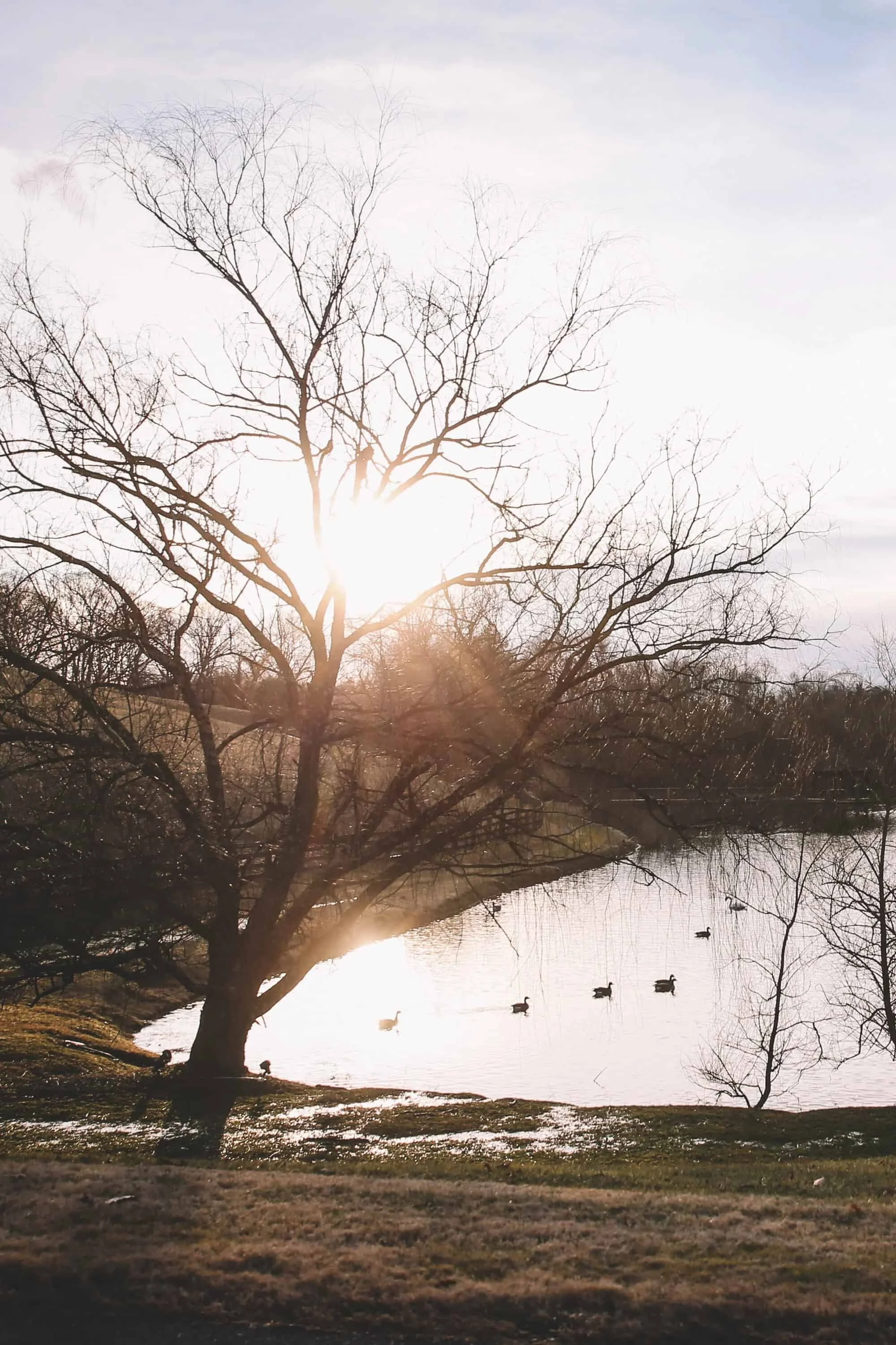 The Virginian in the Virginia Highlands